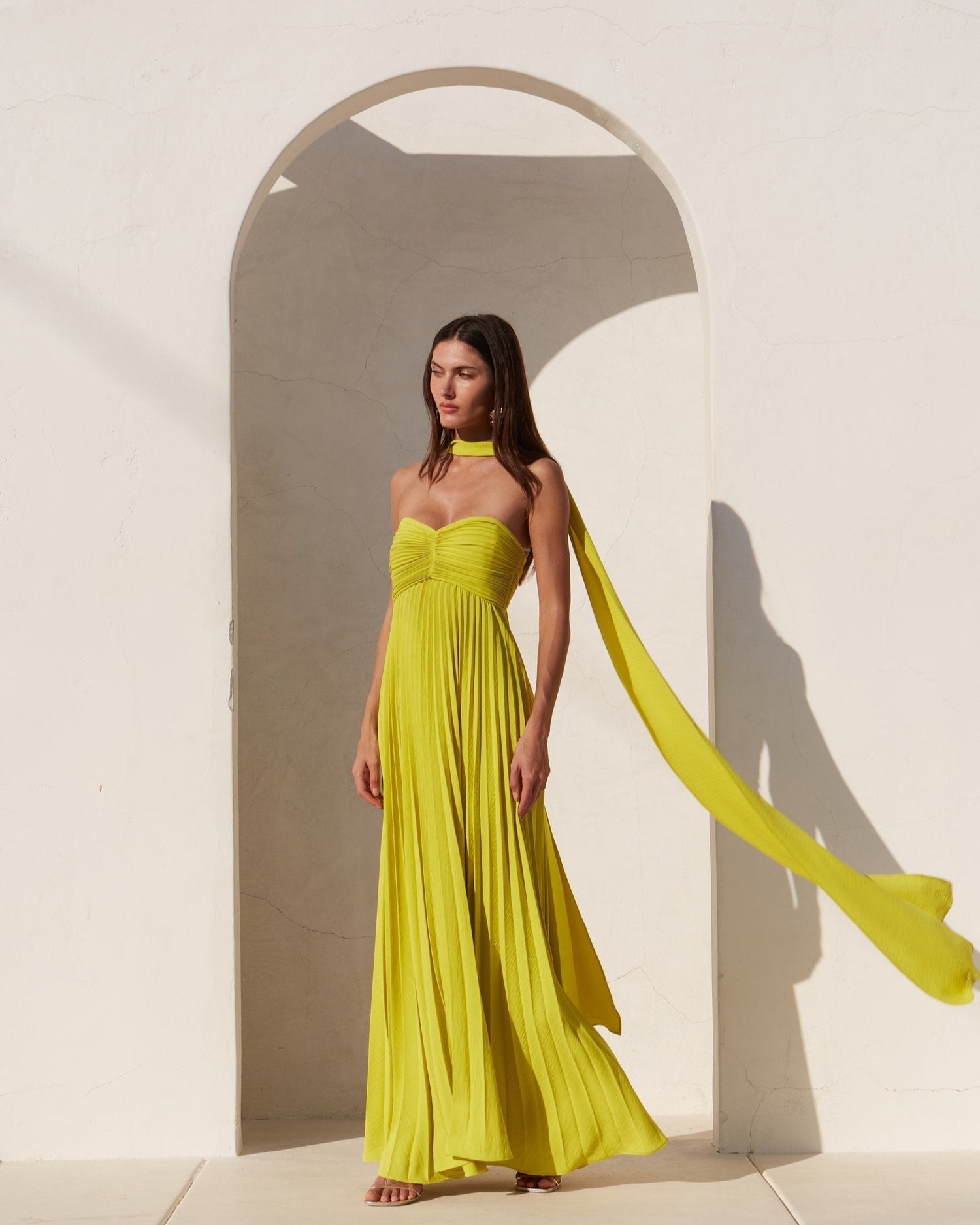 Jardin™ | Robe Longue Bustier Plissée