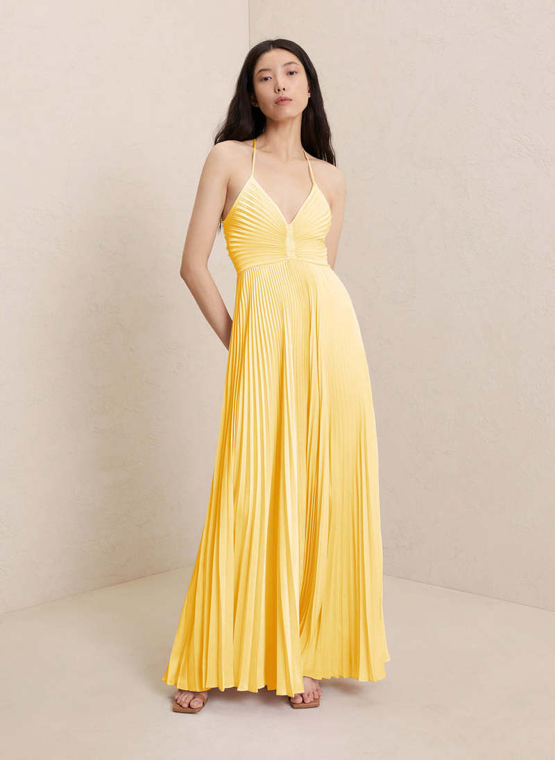 Jardin™ | Robe Longue Plissée Dos Nu