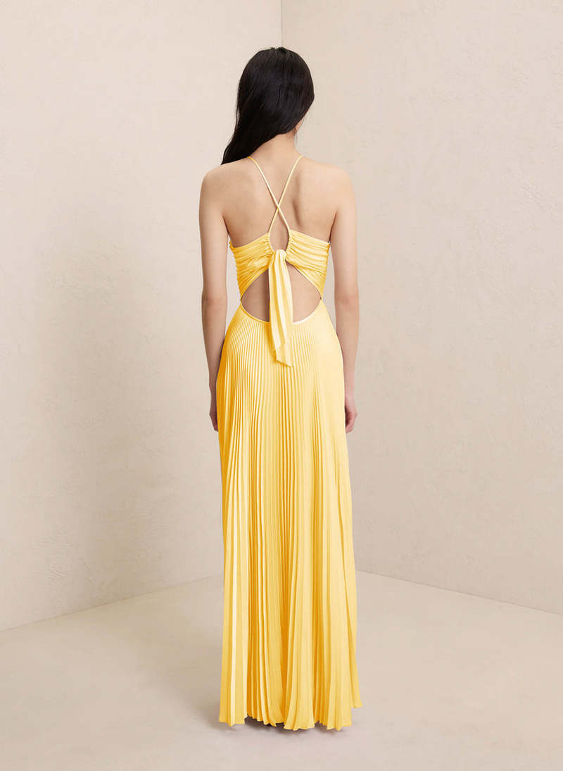 Jardin™ | Robe Longue Plissée Dos Nu